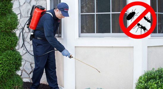 Kırkağaç Bit İlaçlama böcek ilaçlama ve haşere kontrolü — ilaclama-tr.com